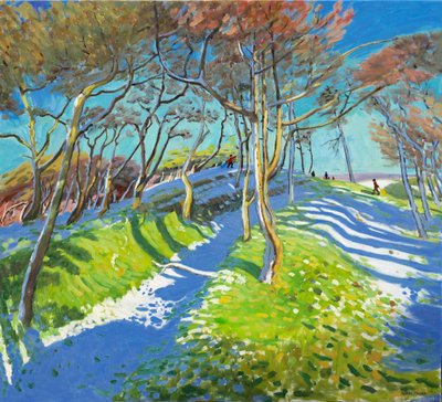 Last of the Snow, Ladmanlow by Andrew Macara